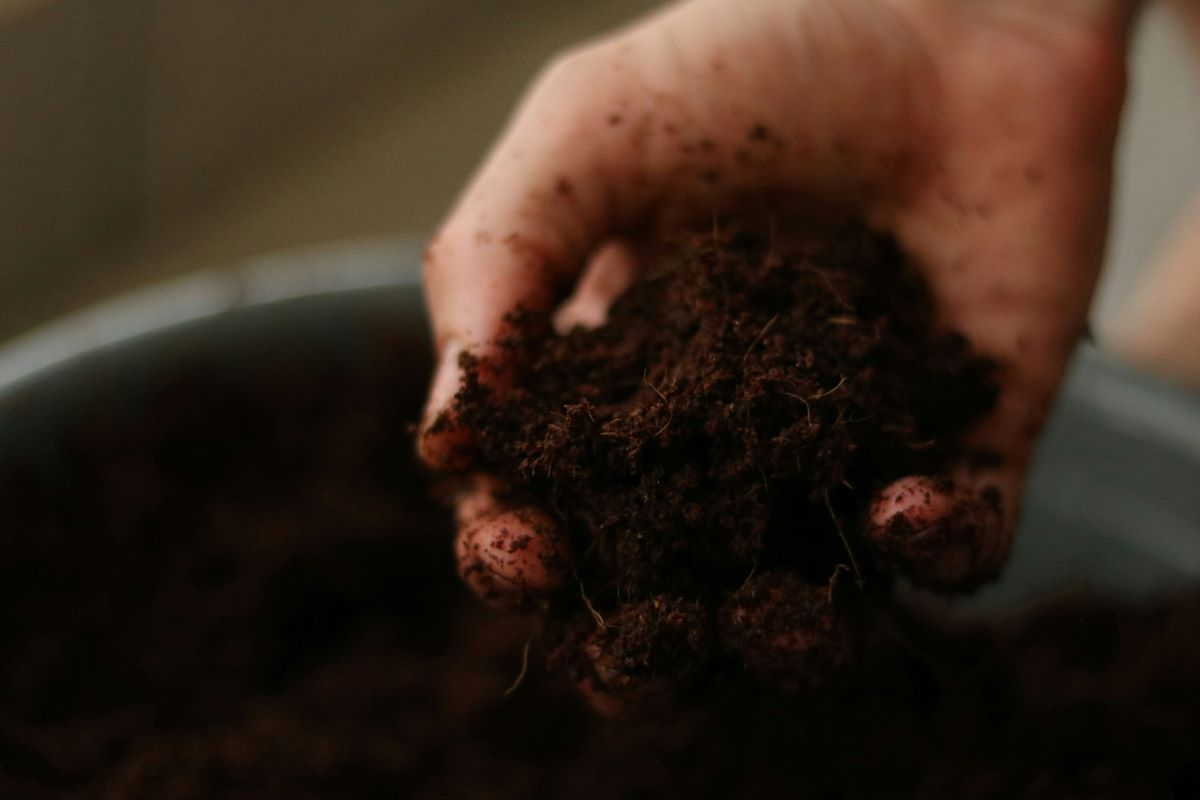 World Soil Day, the “indissoluble” link with water