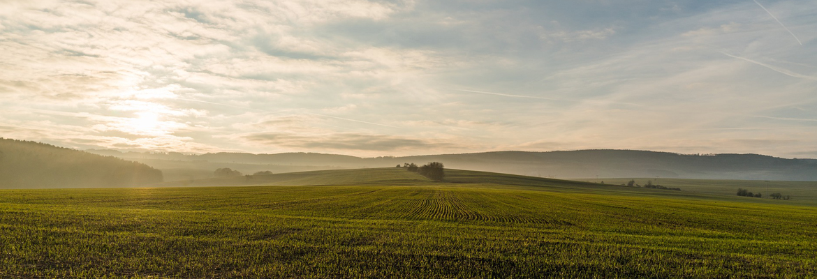 Back to the Future,  Rediscovering Traditional Knowledge to Win the Food Challenge