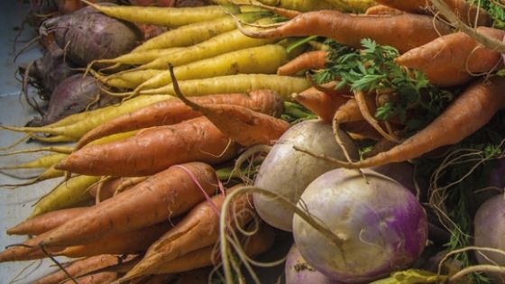 La rigenerazione della terra per la salute dell’umanità