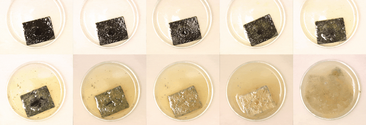 Intelligent Plastic Designed for Chemical Circularity