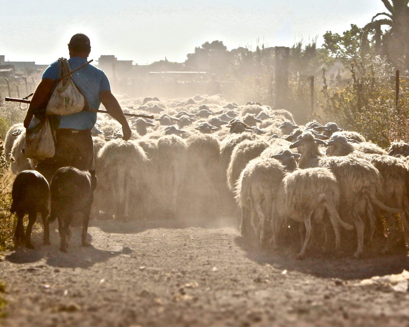 Drought in Sicily: what’s happening?