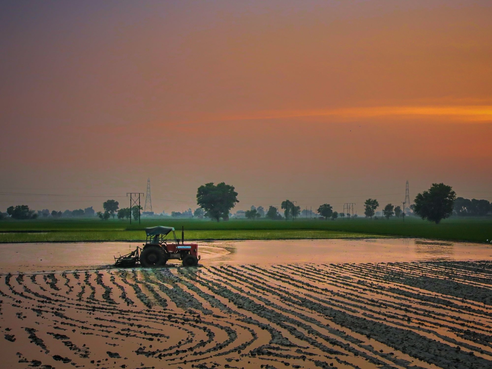 Acque depurate per l’agricoltura: il modello CAP che garantisce qualità e sicurezza