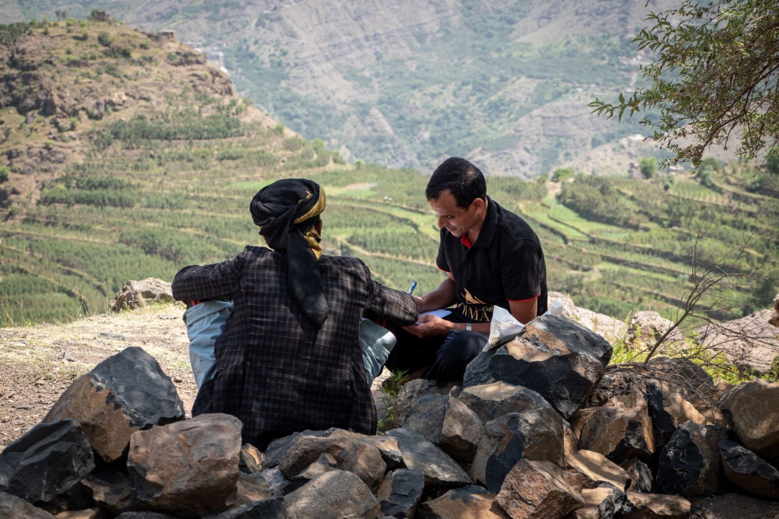 Coffee from the Mountains to Revive Yemen's Economy