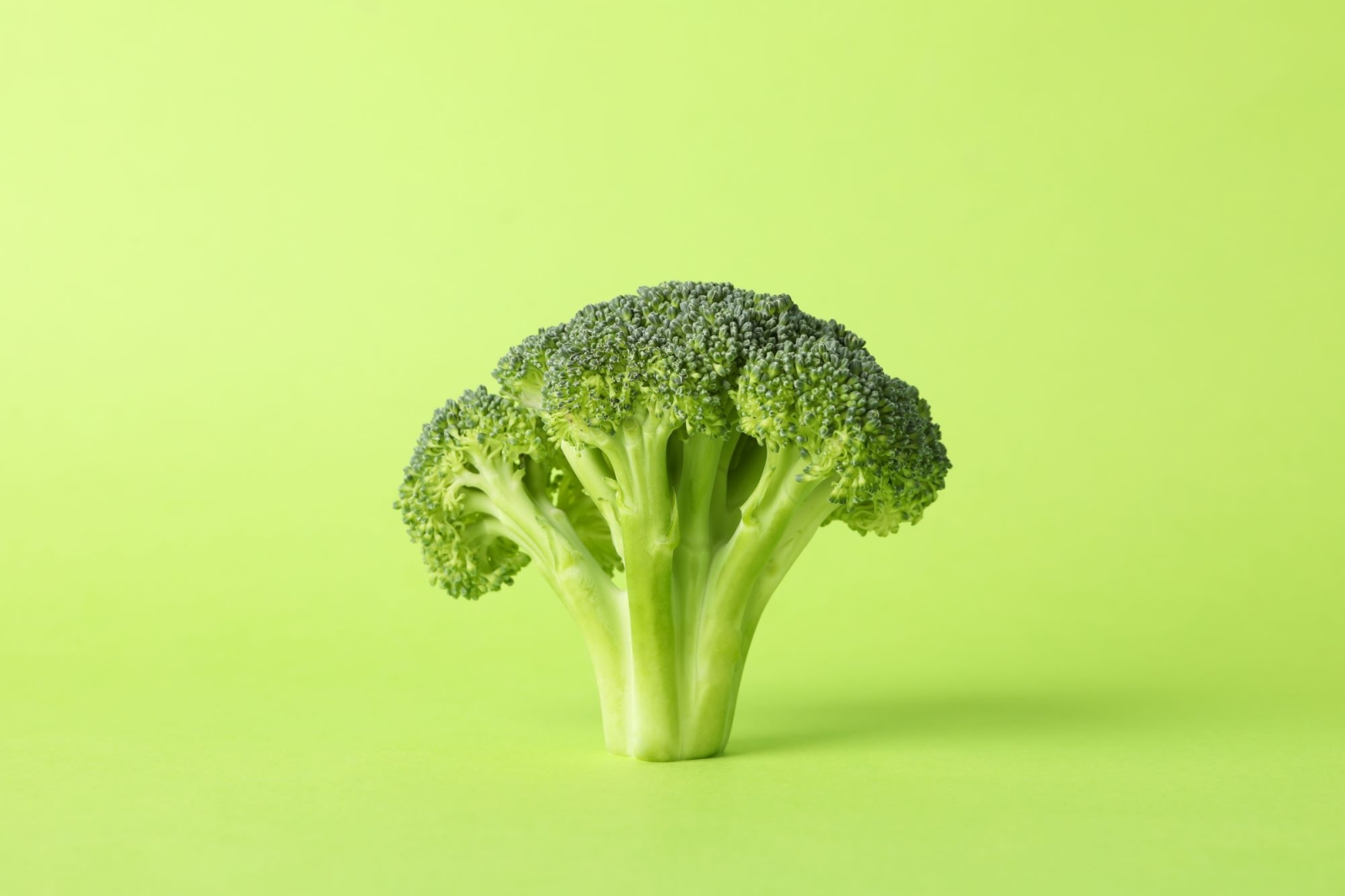 Startup: Broccoli, the Sharefunding Platform for Sustainable Food Companies