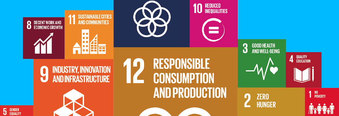 The Food System in the Circular Economy