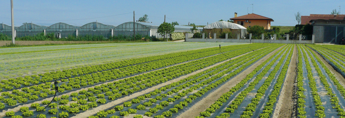 La seconda vita green dell'agricoltura