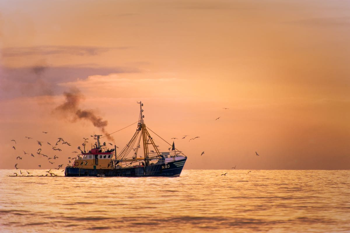 Challenges and opportunities for the future of European fisheries