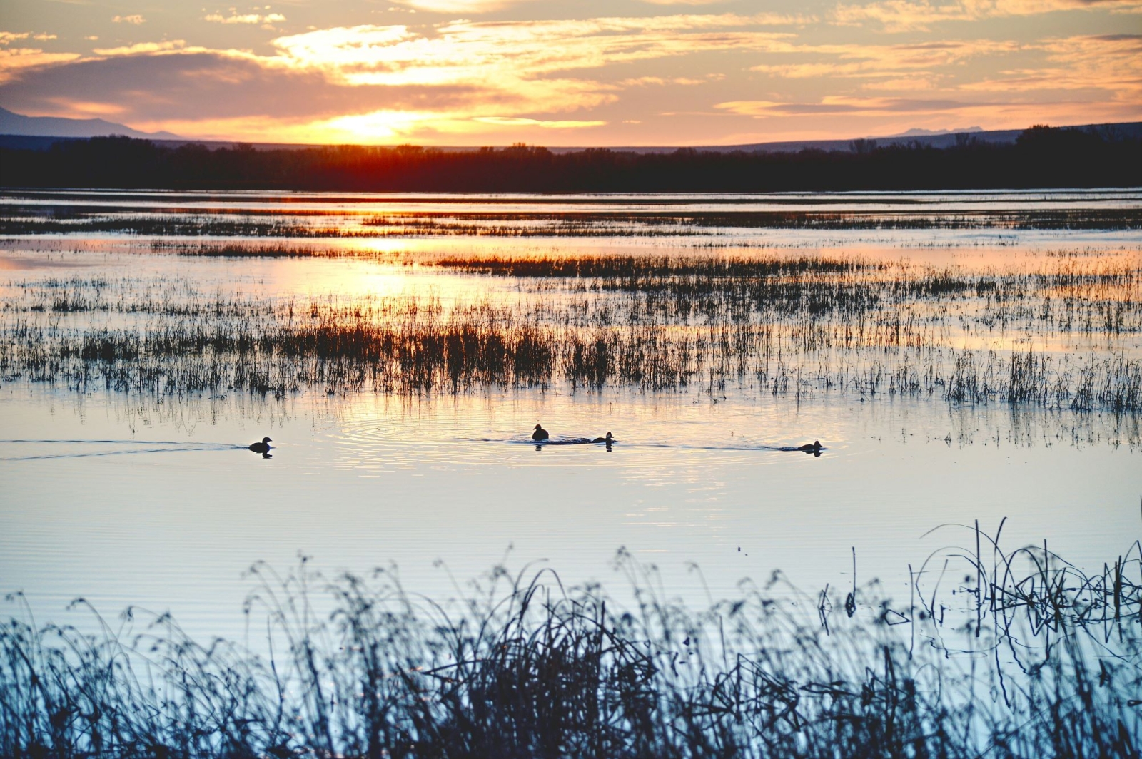 World Wetlands Day, the forgotten link to human well-being