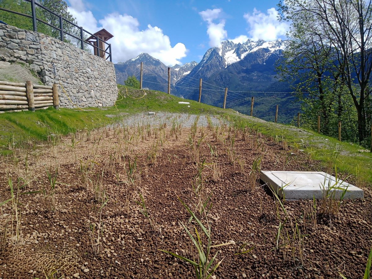 Depurazione delle acque? In montagna ci pensa la natura