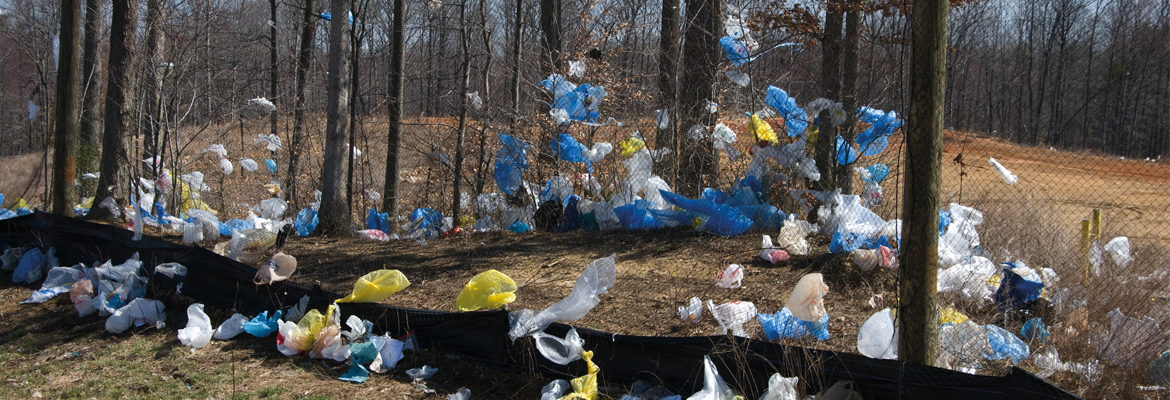 A Ban Spurs the Launch of the Bioeconomy in Italy: the Case of Shopping Bags