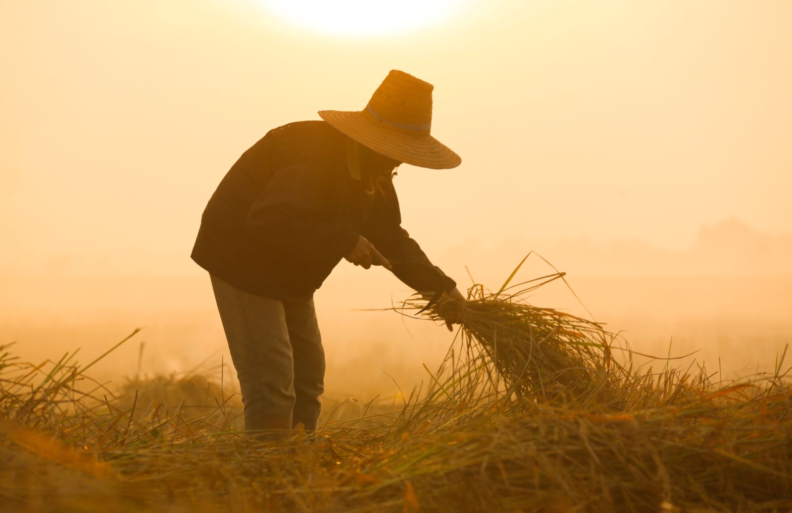 Gli effetti del cambiamento climatico sulla salute di chi lavora