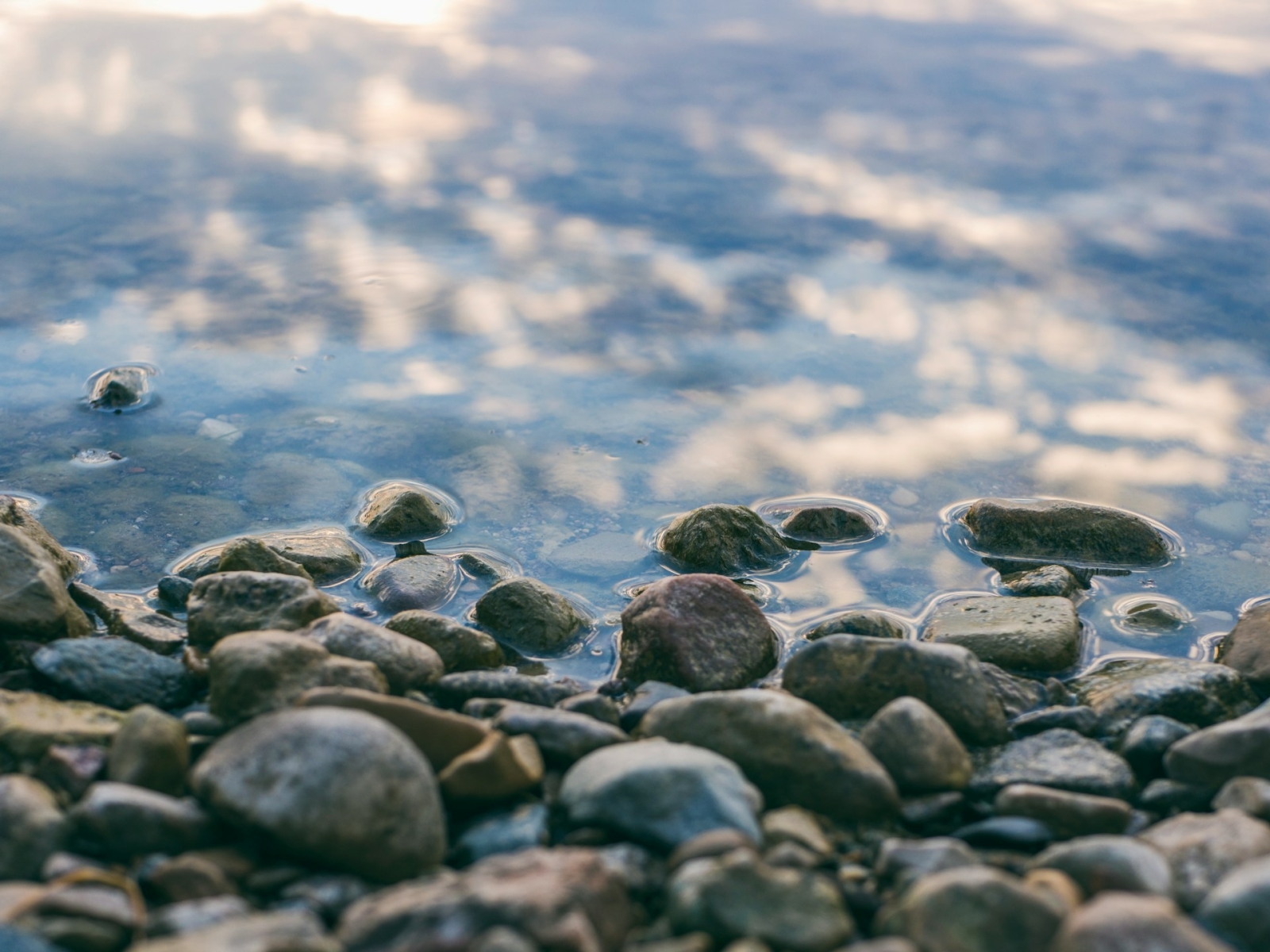 Acqua e resilienza: al CESE si continua a lavorare per un Blue Deal europeo