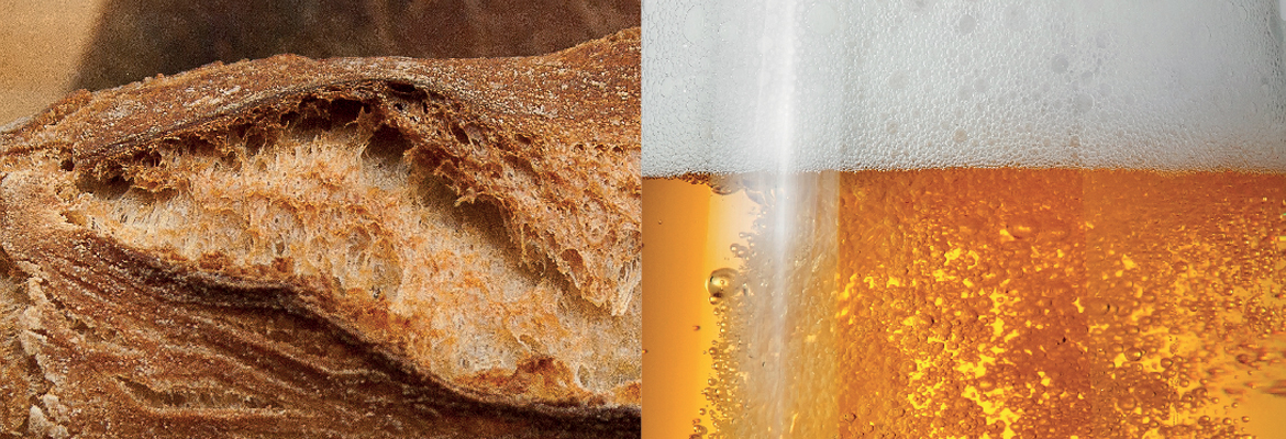 Fare la birra con il pane avanzato