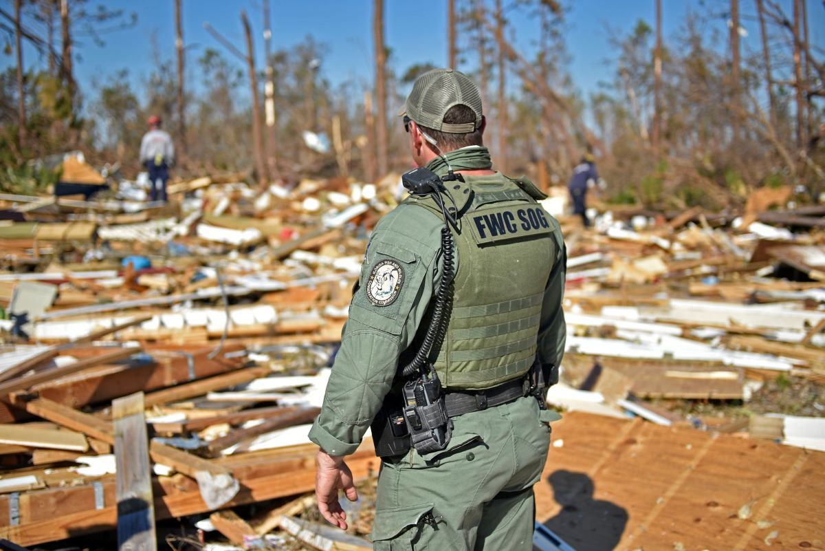 Investire in resilienza climatica: quali sono i vantaggi economici?