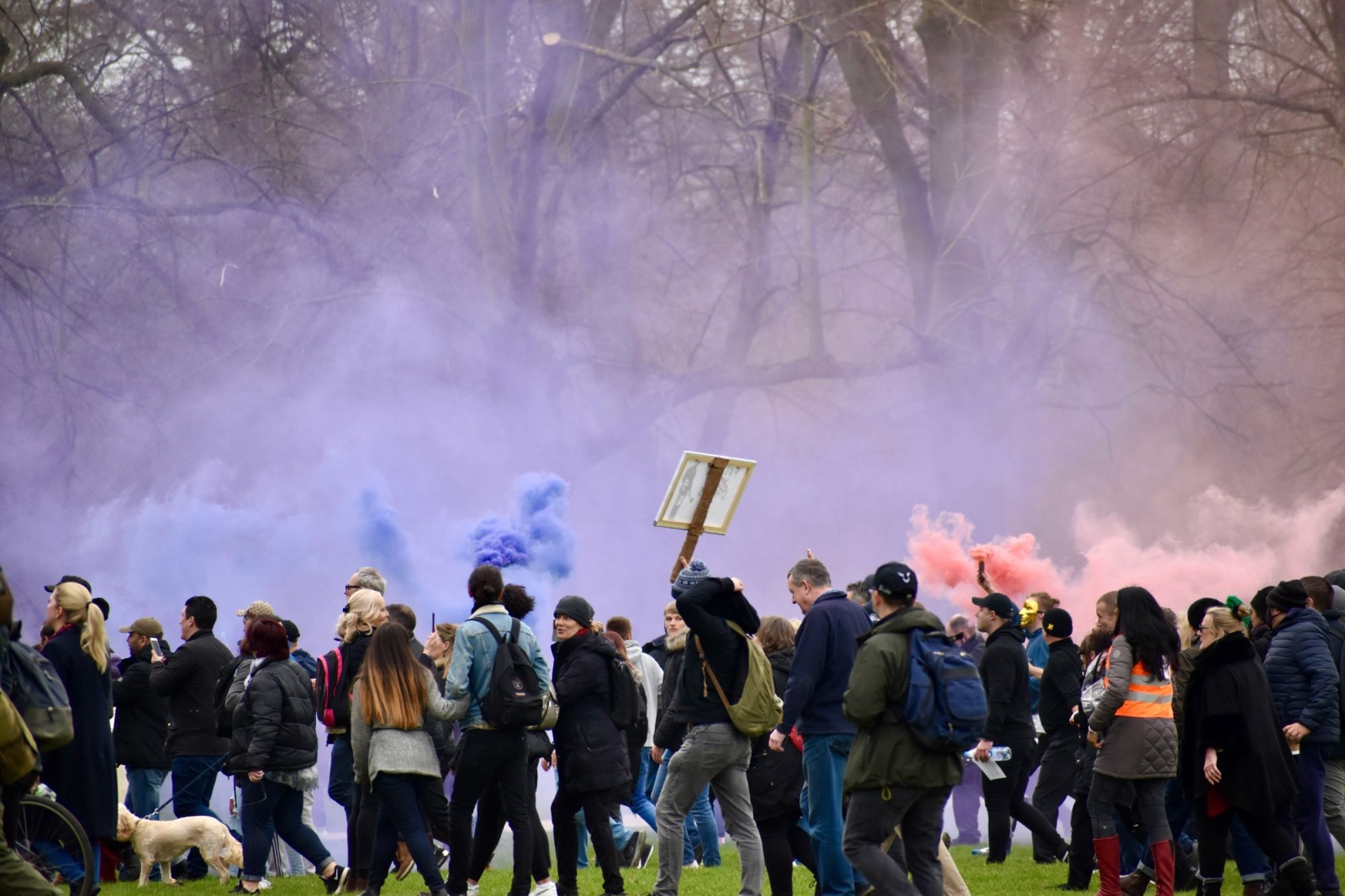 Why are farmers protesting in Europe and the peculiarity of the Italian case