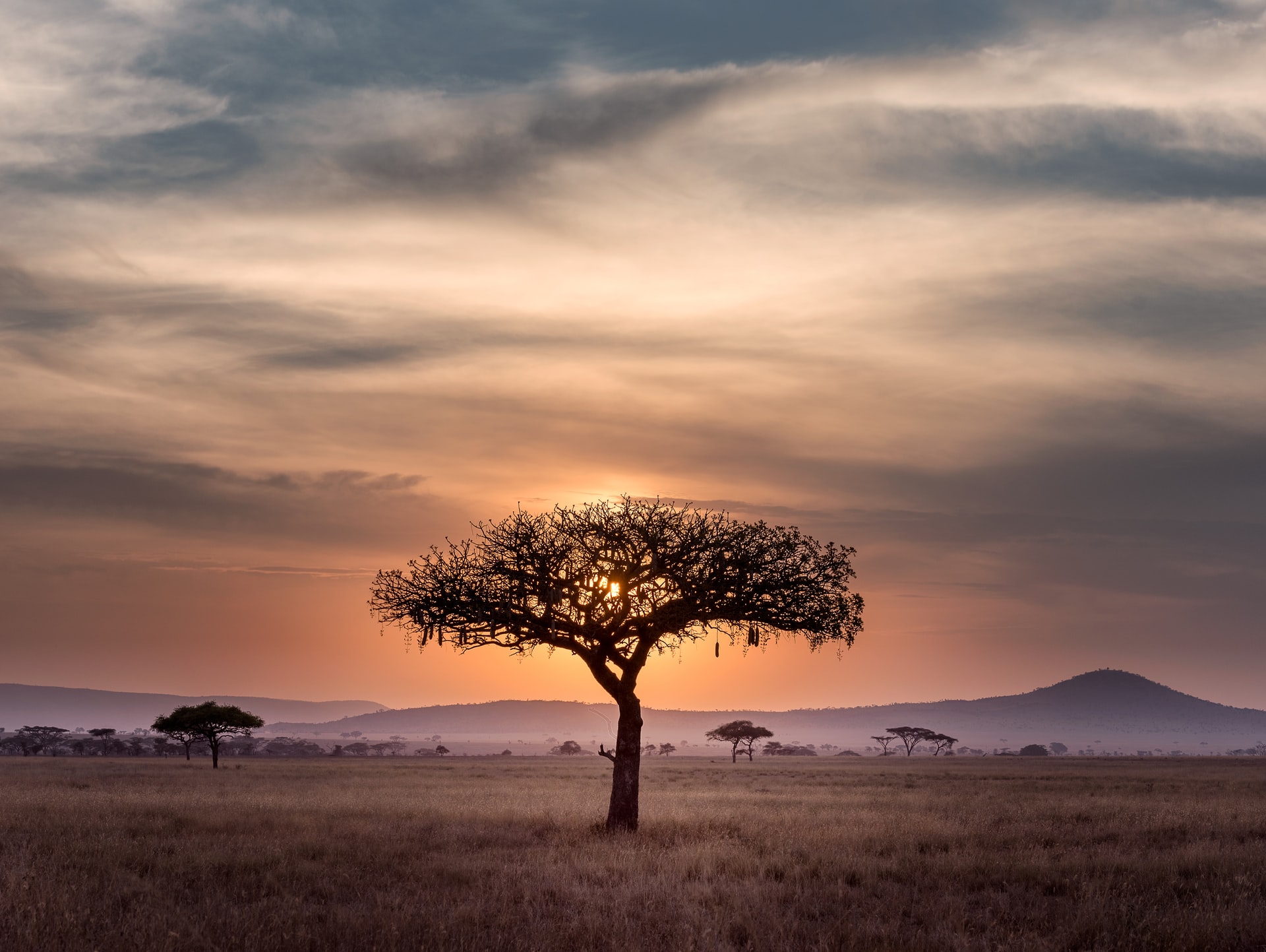 Tutte le potenzialità dell’Africa circolare