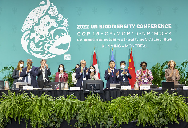 COP15: a Montreal raggiunto accordo storico per la Biodiversità