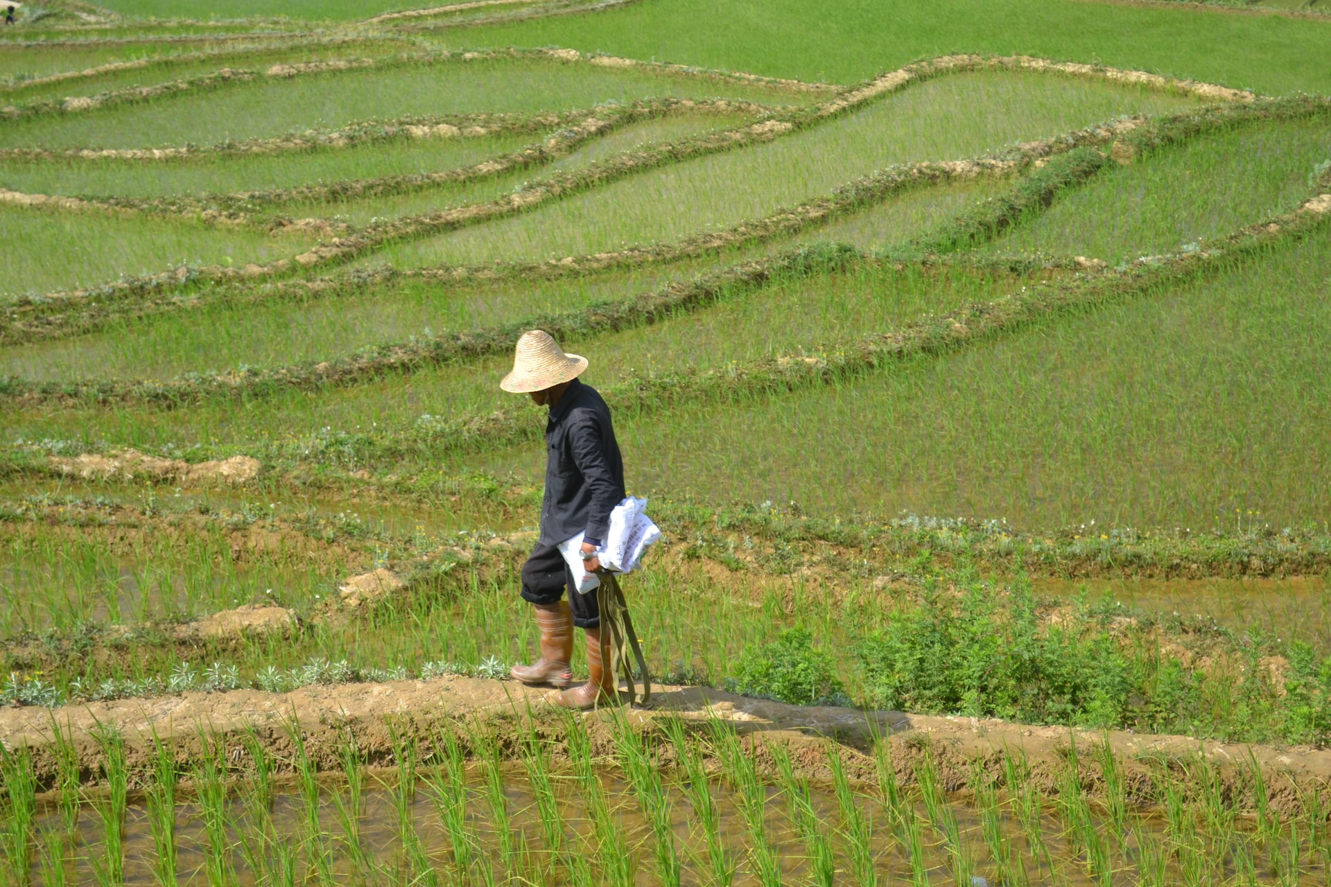 China launches anti-erosion black soil campaign