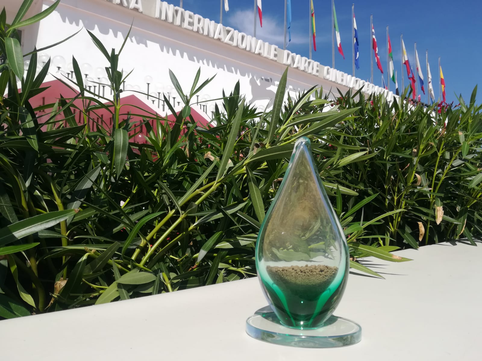 Venezia: il Green Drop Award a “White Noise” di Baumbach e “Siccità” di Virzì