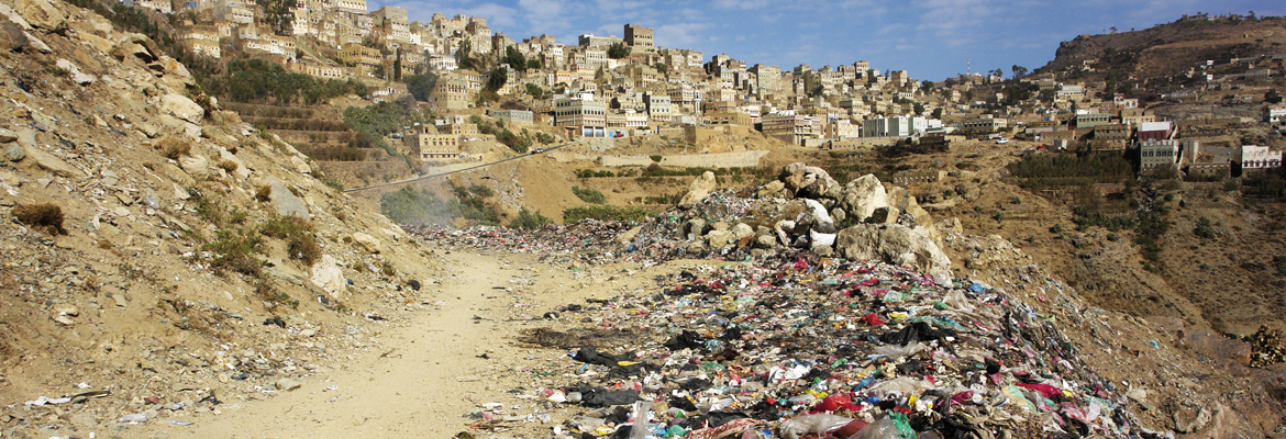 Fighting Cholera with Waste