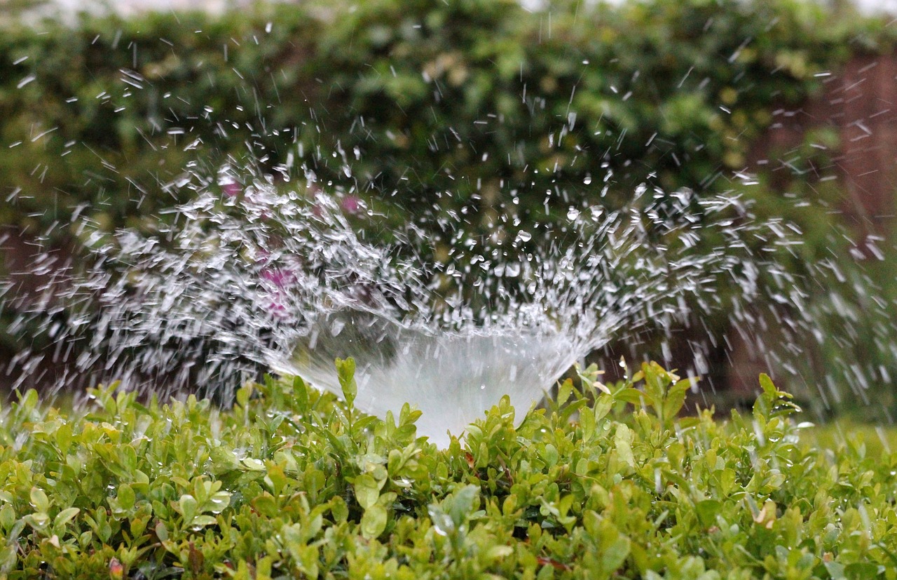 Spreco di acqua in agricoltura: la Corte dei Conti bacchetta la PAC