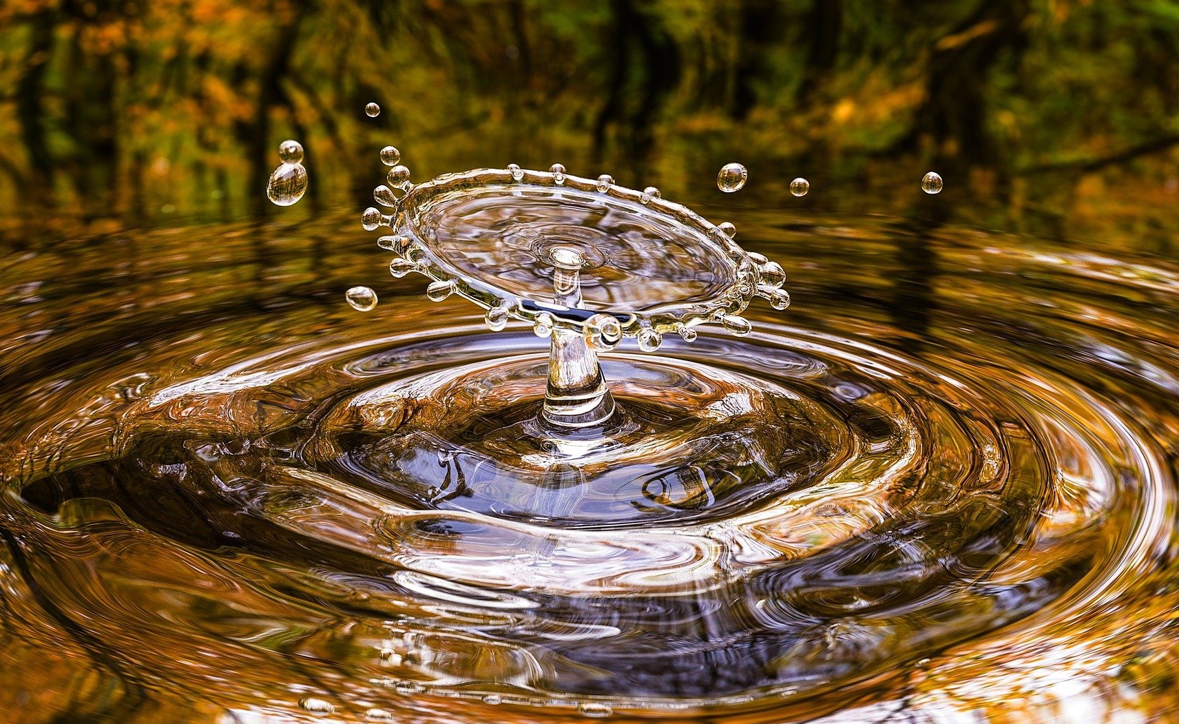 Giornata Mondiale dell’Acqua: tutte le iniziative del Gruppo CAP