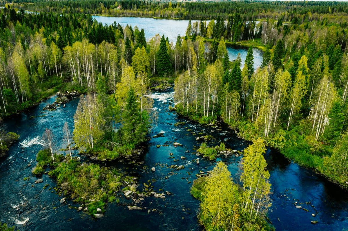 L'acqua diventa un motore economico e di biodiversità in Europa