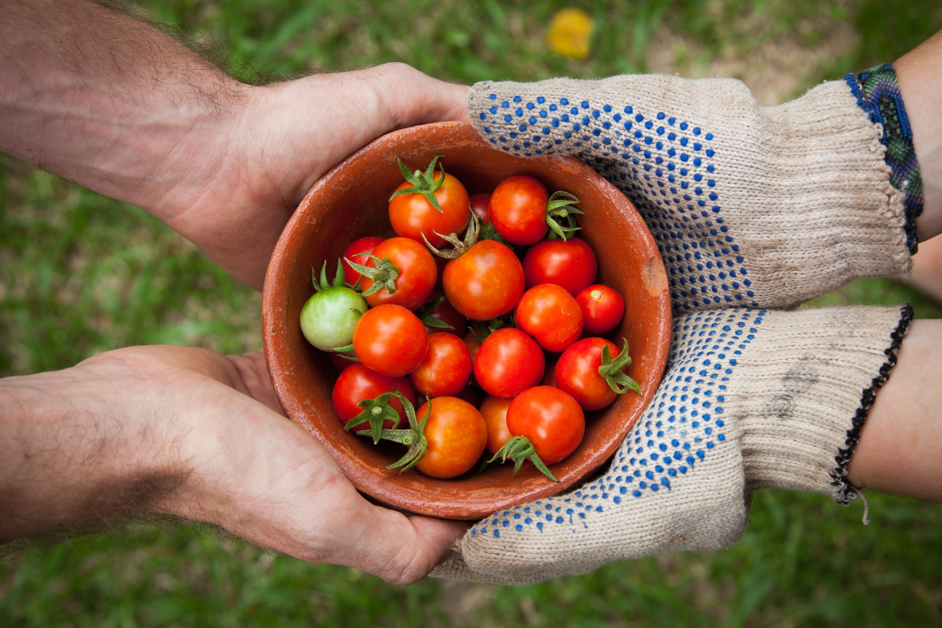 Finanza e sviluppo insieme per creare sistemi alimentari equi e sostenibili