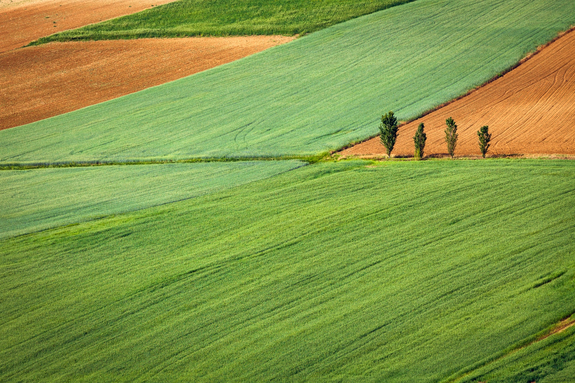 Nasce il Consorzio Italiano Agricoltura Circolare