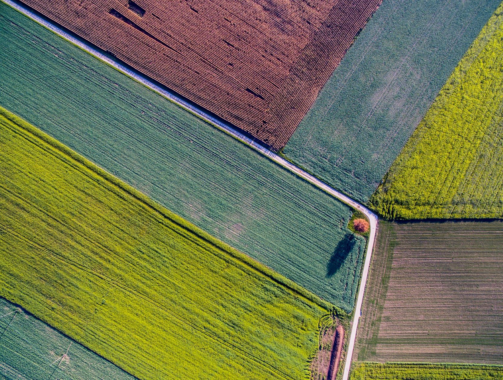 Terra Next: a Napoli un acceleratore di innovazione per la bioeconomia italiana