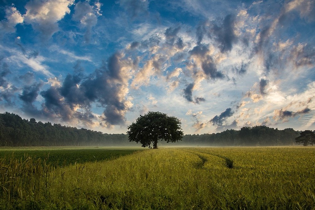 EROC: a Parma l’avamposto europeo dell’agricoltura rigenerativa