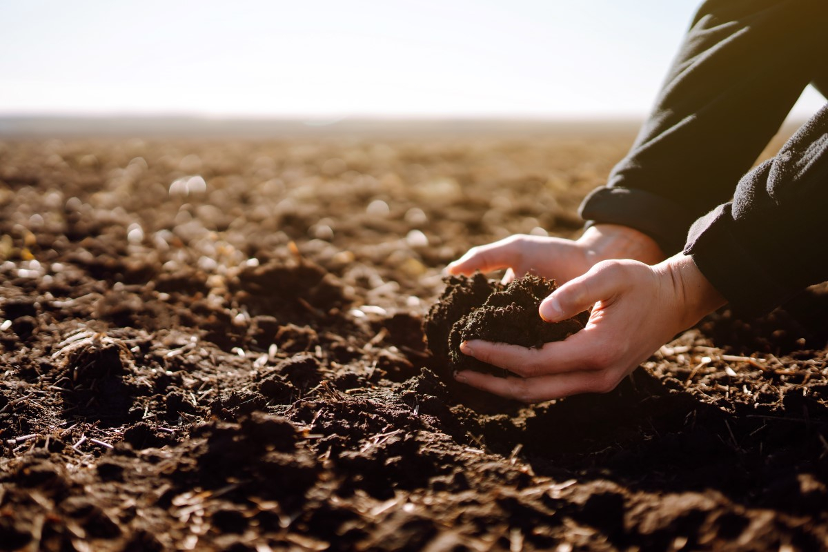 Agricoltura rigenerativa: il Landbanking Group inserisce la natura nel bilancio aziendale