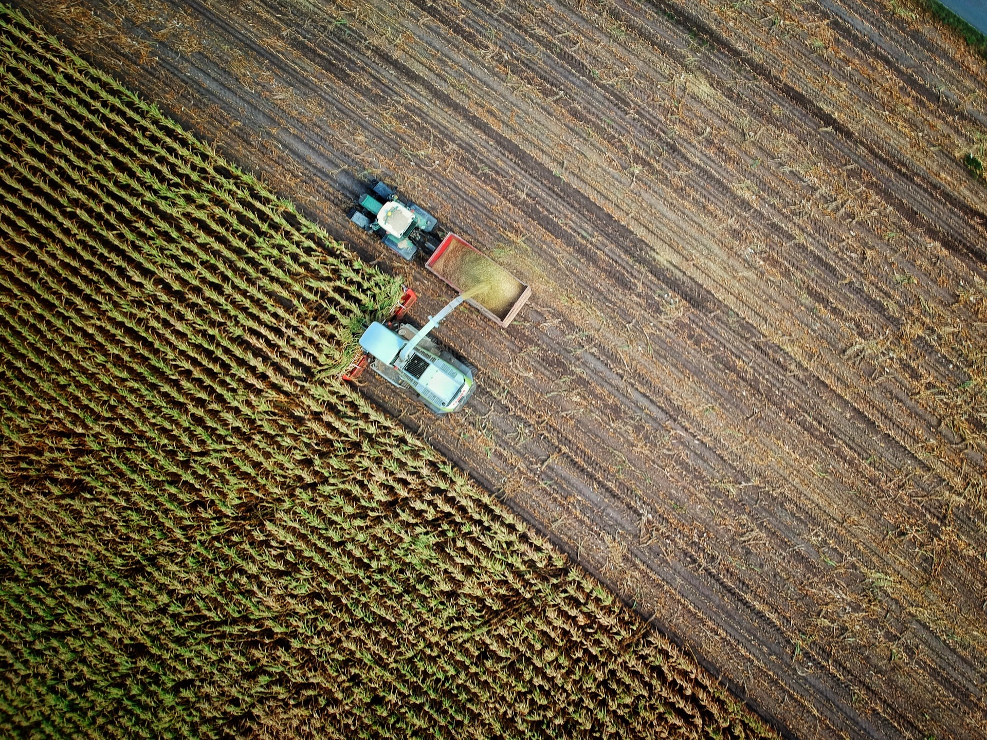 Verdemetano, la prima cooperativa di agricoltori per la produzione di biometano