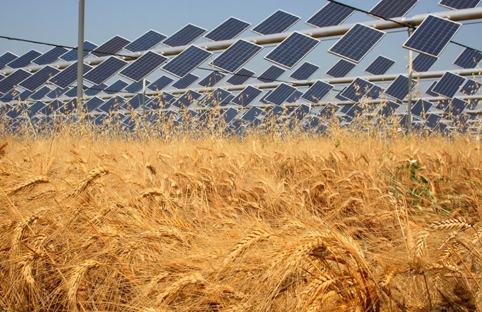 ENEA mappa l’agrivoltaico italiano