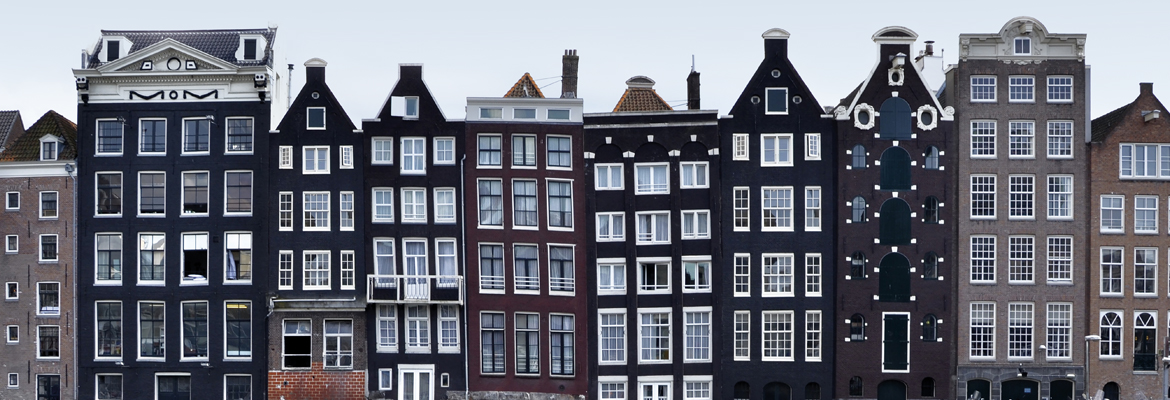 The Doughnut Comes to Amsterdam: How to Create a Thriving City for a Thriving Planet