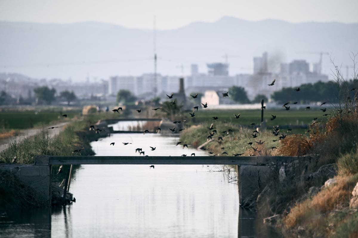 Biodiversità, oltre 1 consumatore su 2 chiede alle aziende di tutelare gli ecosistemi