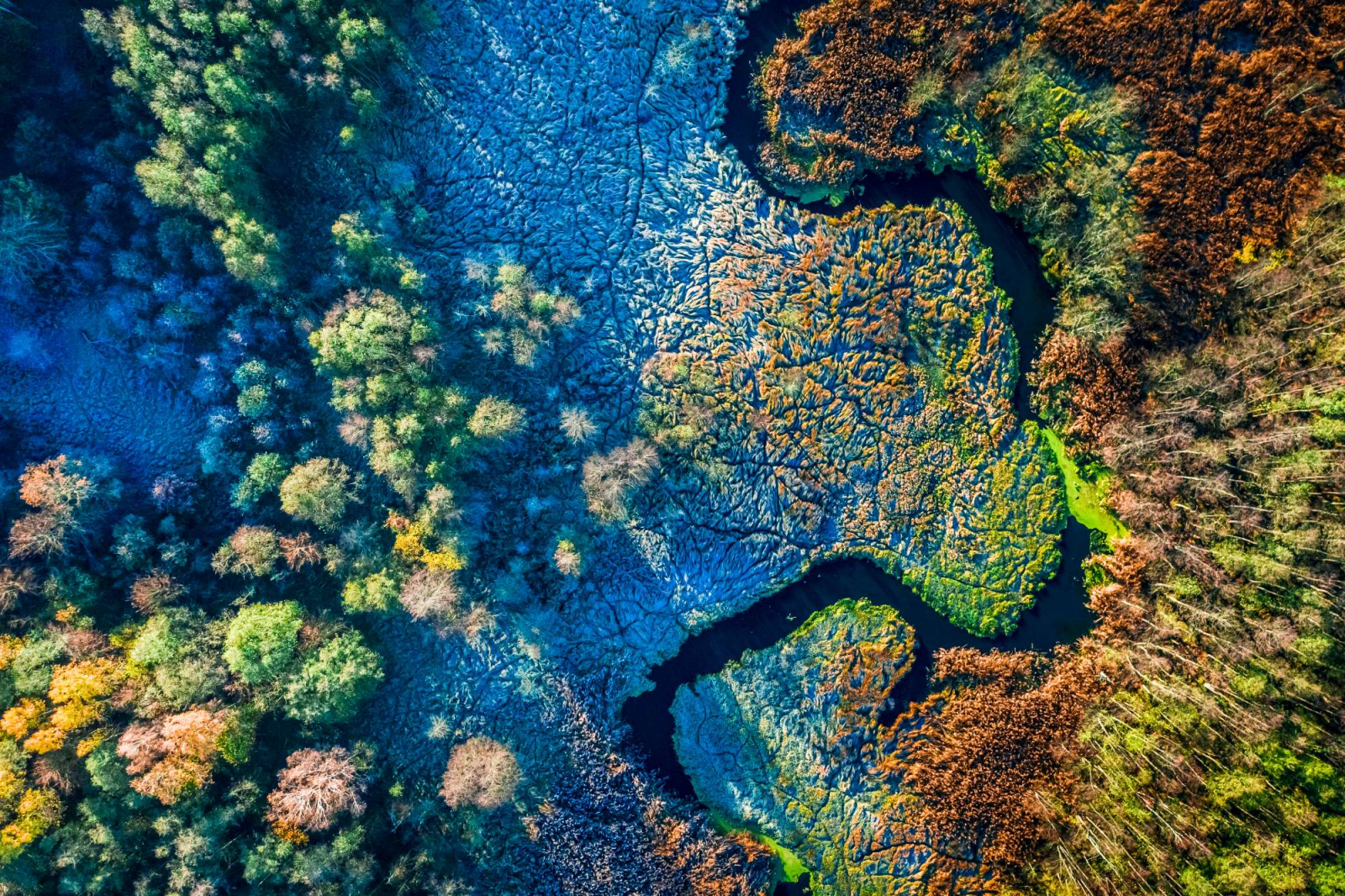 Il PIL da solo non salverà la natura, e nemmeno l’economia