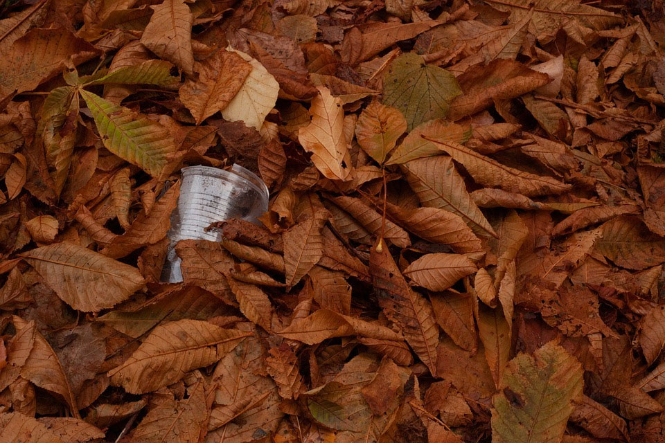 Conferenze di Rete Ambiente: il 10 giugno si parla di biowaste con il Consorzio Italiano Compostatori