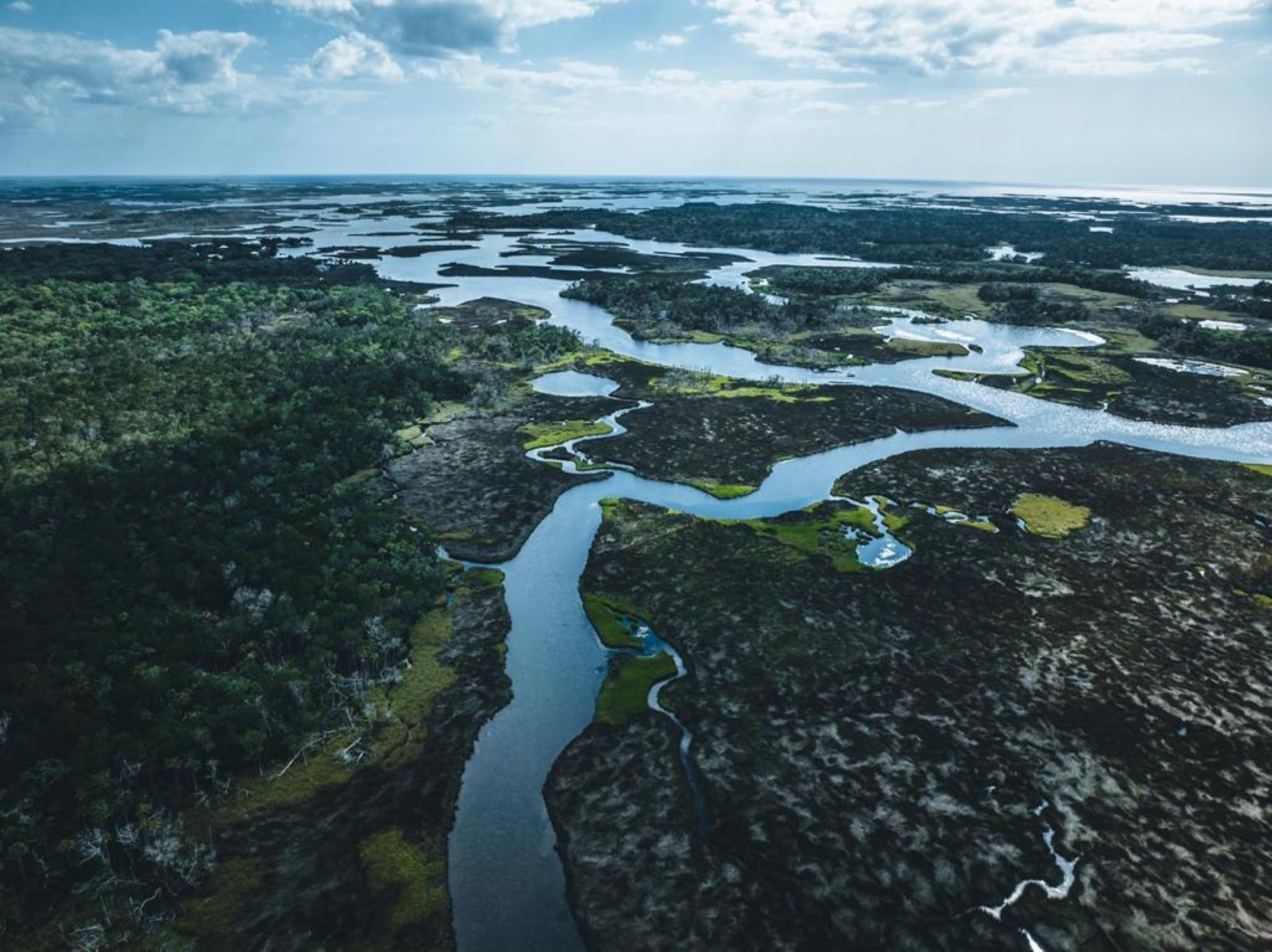 CinemAmbiente 2024: dall’Amazzonia all’Antartide, la crisi ambientale al cinema