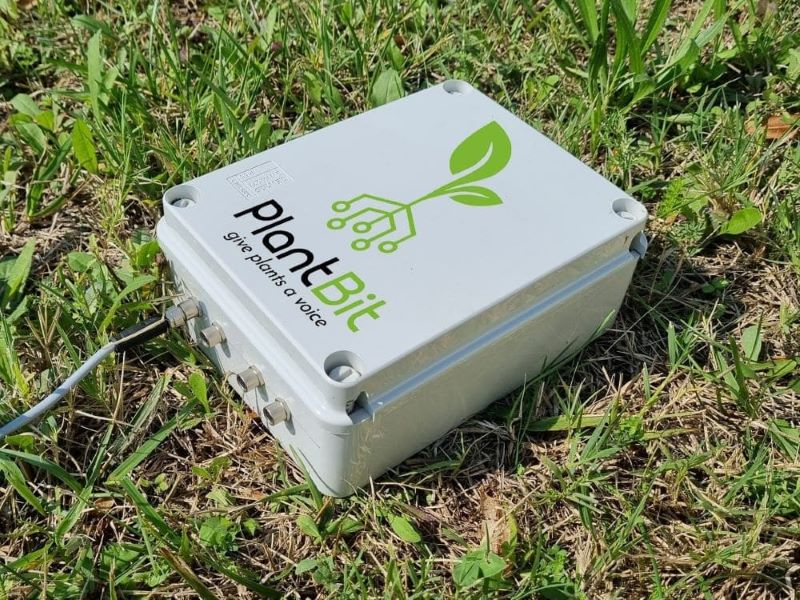 Startup, PlantBit: sensori per ottimizzare irrigazione e fertilizzazione delle piante