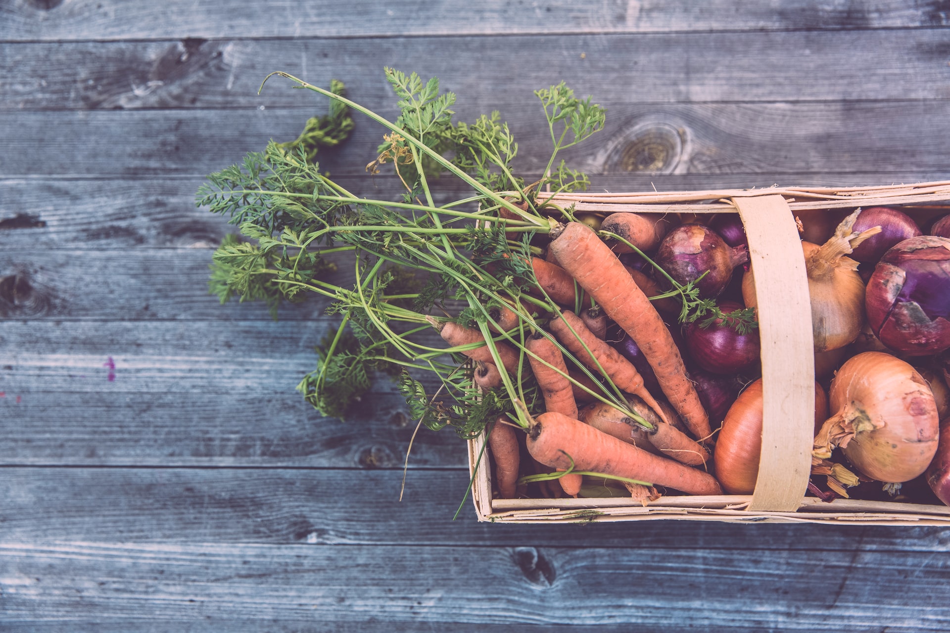 More Shadows Than Light on the Future of Food in Europe