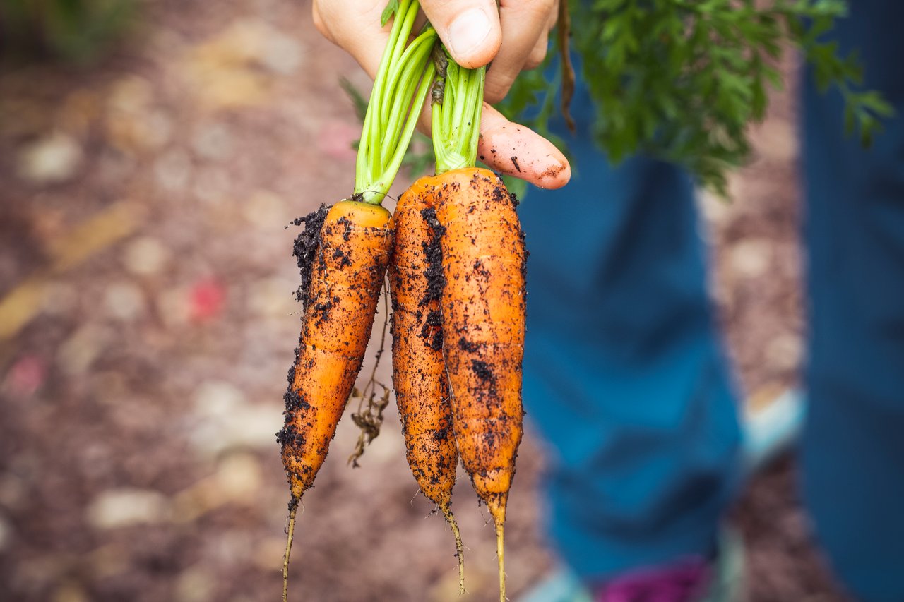 Al Salone del Gusto, il B2B Circular Economy for Food