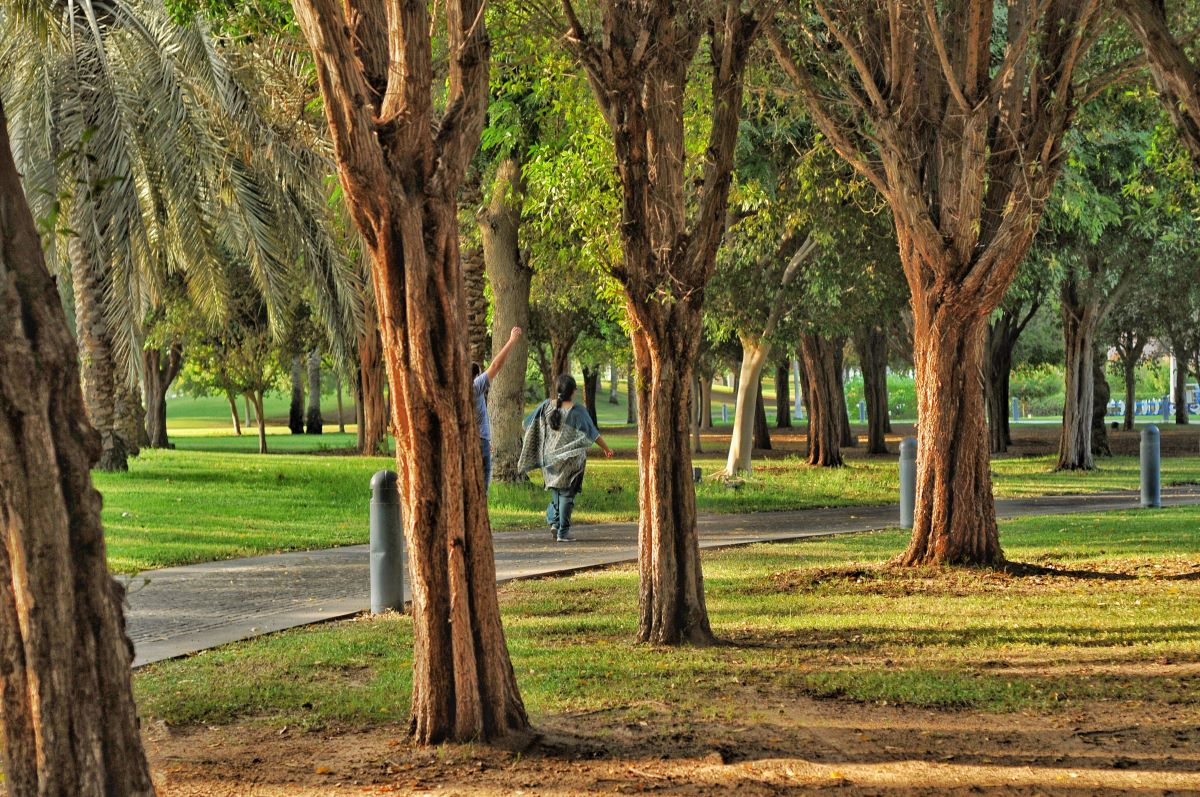 Città, ecosistemi e biodiversità