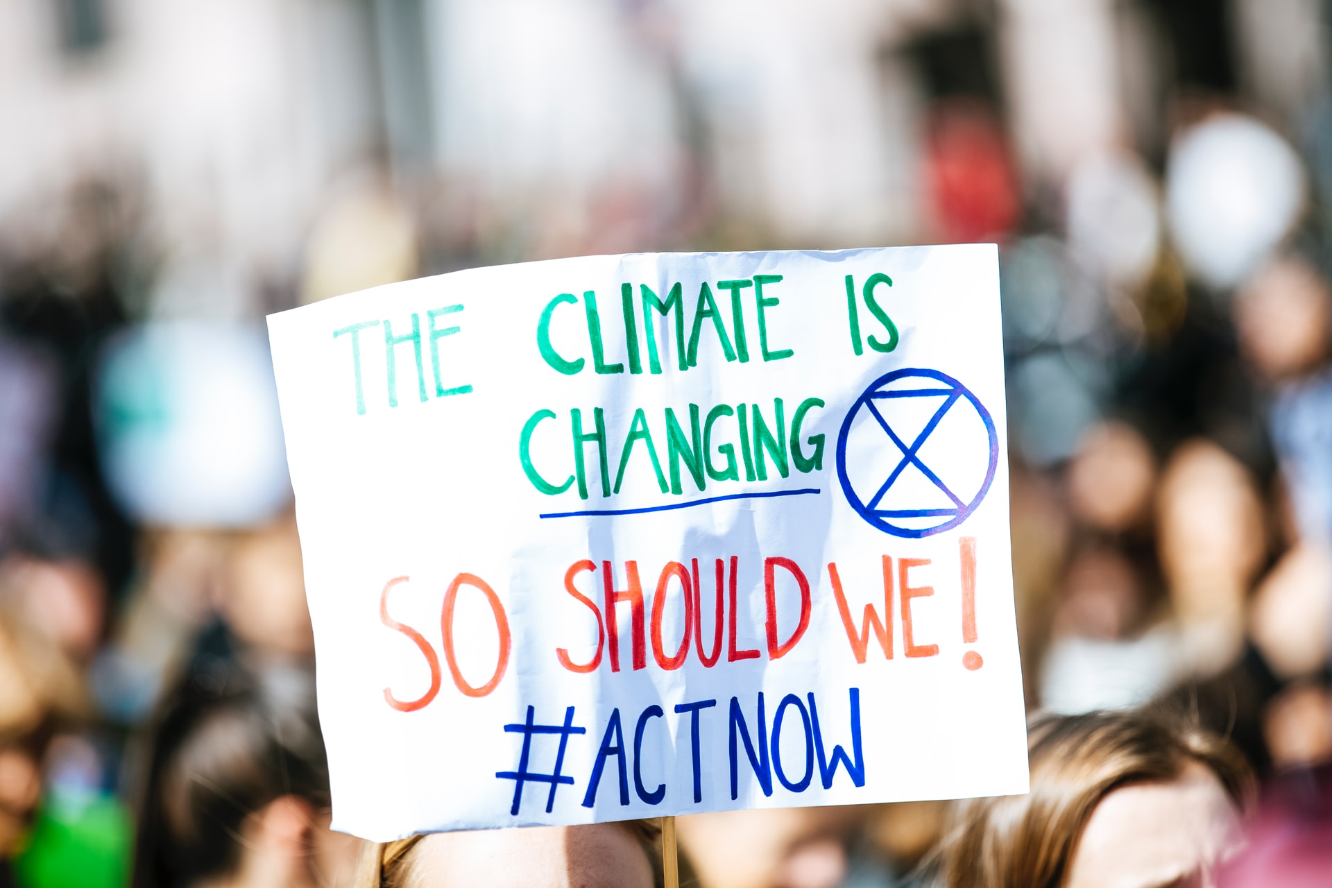 Six actions everyone can take to fight the climate crisis