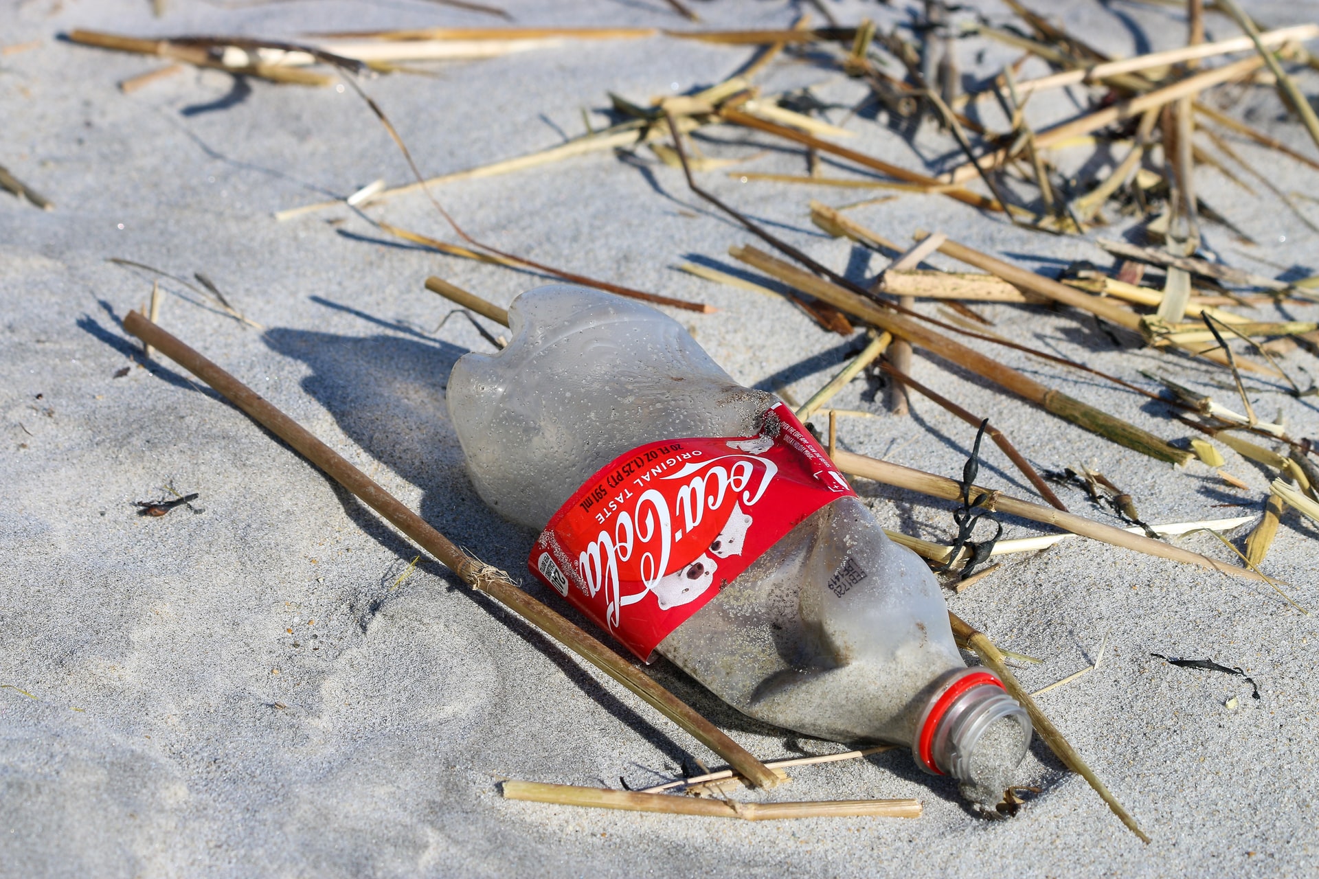 Coca-Cola, PepsiCo e Nestlè guidano la classifica dei grandi inquinatori da plastica