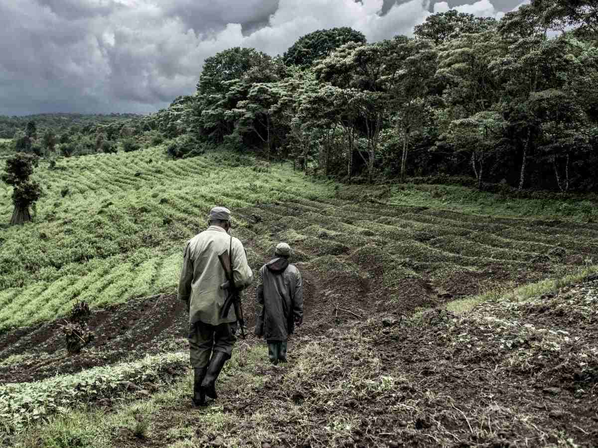 Congo in guerra, come il coltan finanzia i ribelli armati