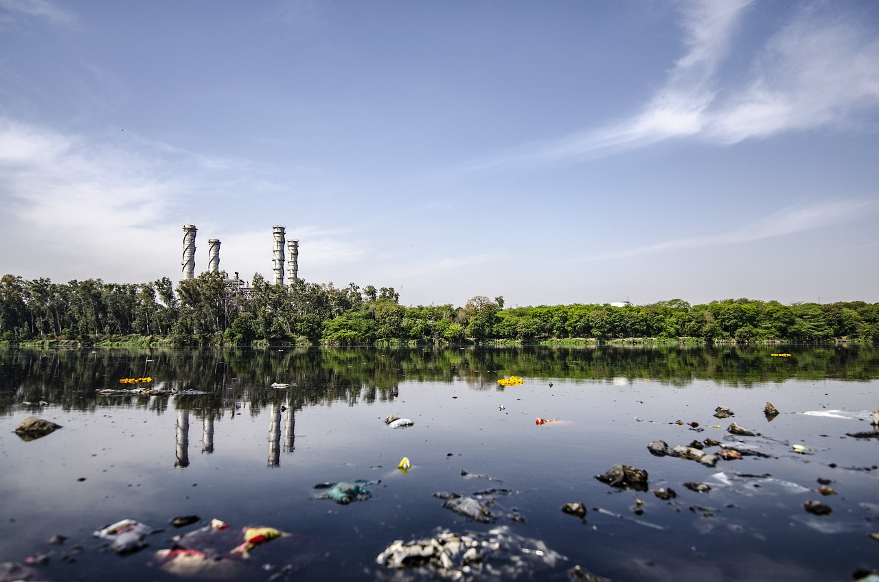 Entità aliene: come l’inquinamento chimico minaccia l’ecosistema globale