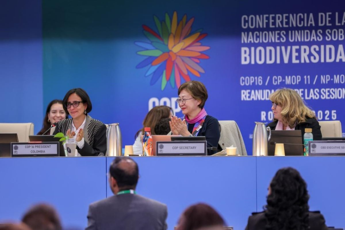 COP16 bis, 200 miliardi di dollari per la natura e come mobilizzarli