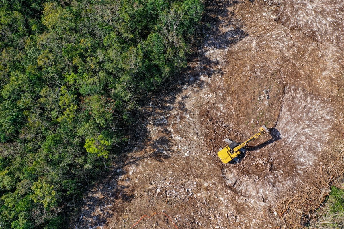 COP16 bis, ancora lontano il target Biodiversità 30 by 30