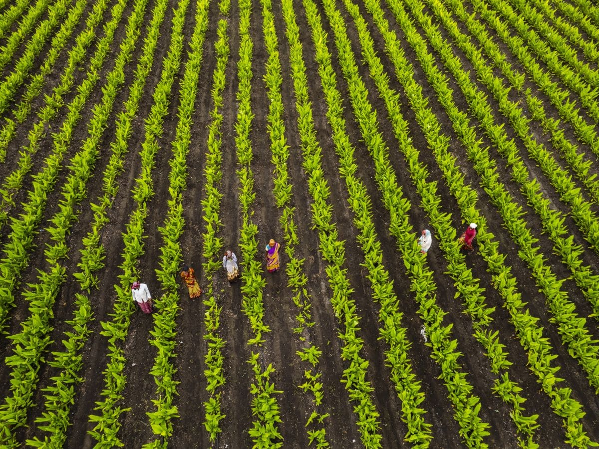 COP30, il capitale naturale è un valore strategico per le imprese italiane